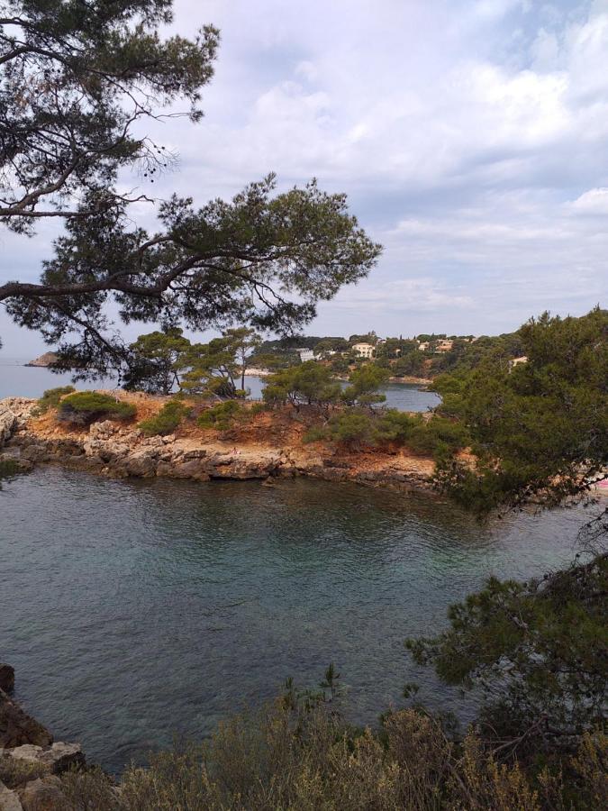 Joli Studio Res Au Calme En Rez De Jardin A Bandol. Exteriér fotografie